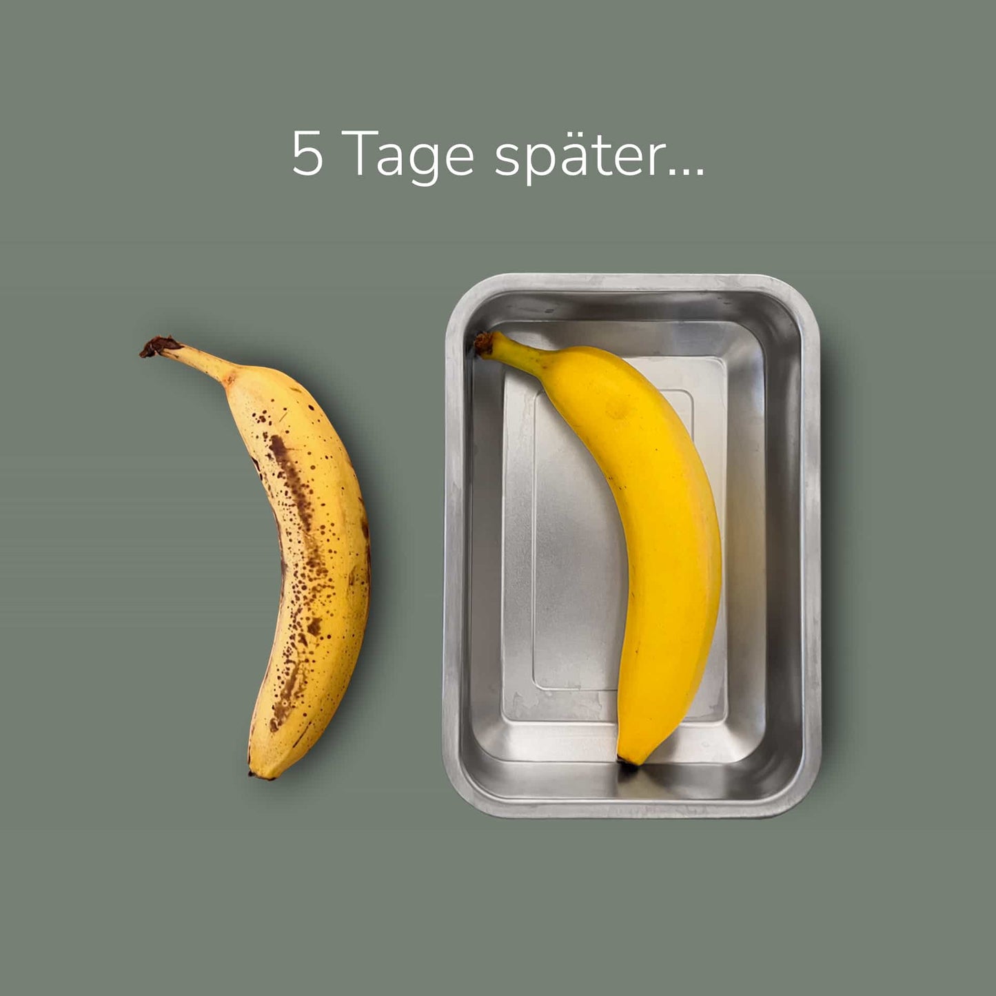 Lunchbox filip® Nr. 02 mit Bestecktasche